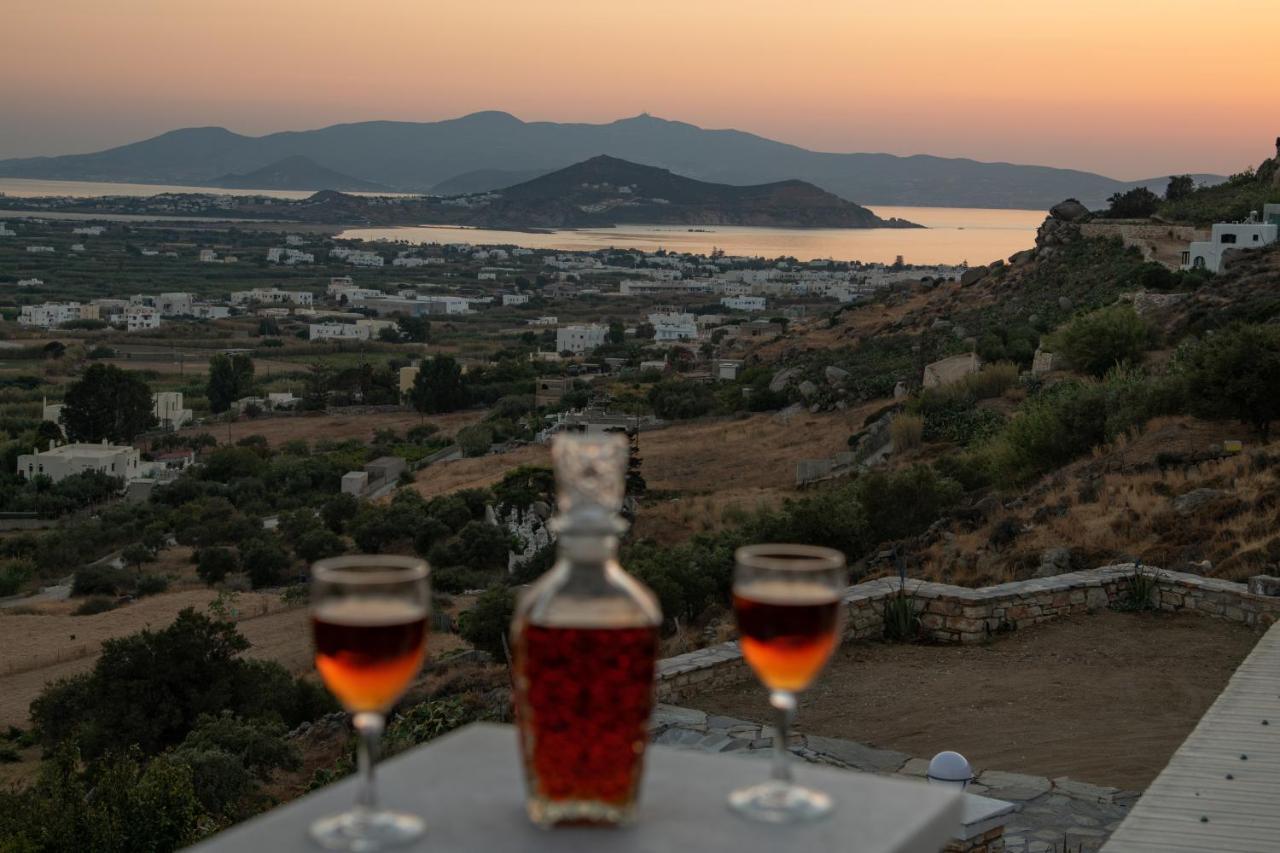 Alta Vista Naxos Aparthotel Naxos City Exterior foto