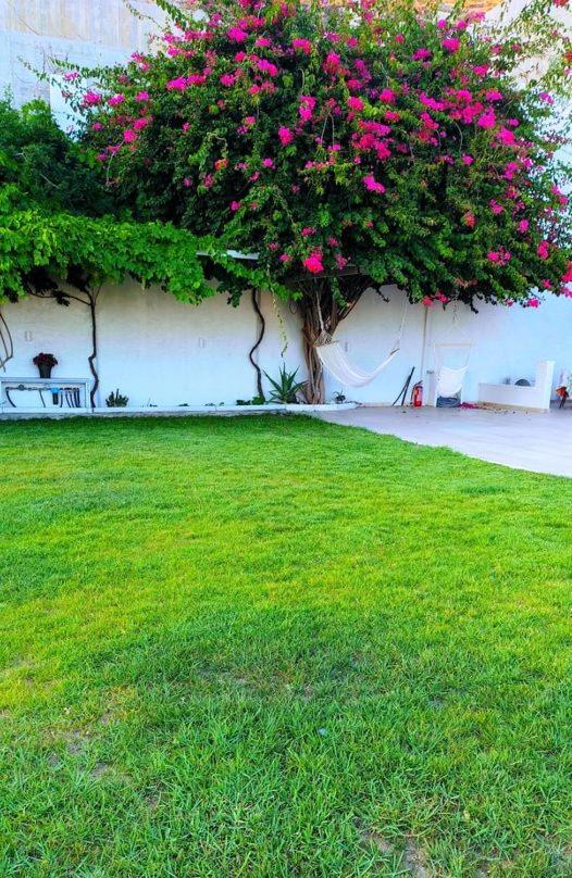 Alta Vista Naxos Aparthotel Naxos City Exterior foto